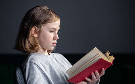 Serious little girl reading a book, blurred background.の写真素材