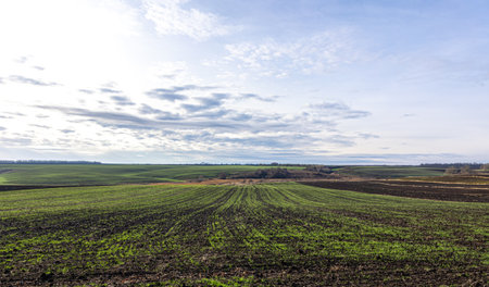 Rural landscape, beautiful field and sky with clouds.の写真素材