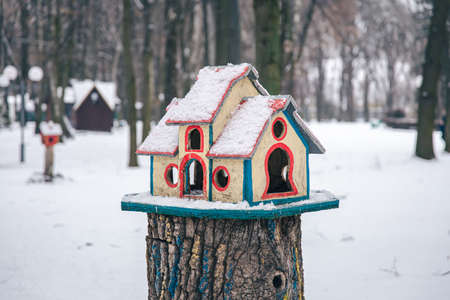 Bright bird feeder in the winter forest.の写真素材