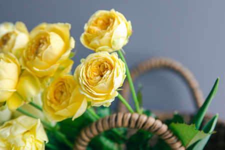 Close-up of yellow spring flowers in a basket.の写真素材