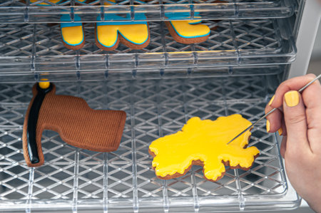 Gingerbread in the shape of Ukraine, handmade patriotic cookies.