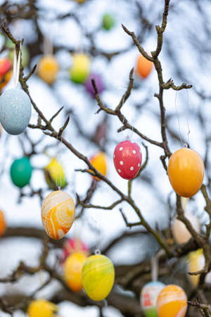 Tree decorated with colorful Easter eggs, street Easter decor.の写真素材