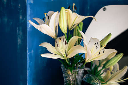 A bouquet of lilies in a vase against a blue wall.の写真素材