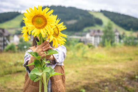 Woman with a bouquet of sunflowers in nature in a mountainous area.の写真素材
