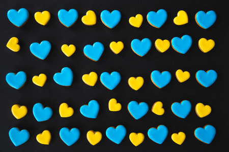 Yellow and blue handmade gingerbread cookies in the shape of hearts.の写真素材