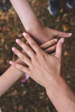 The hand of an adult and two children together, a symbol of friendship.の写真素材