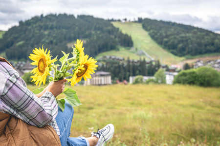 Woman with a bouquet of sunflowers in nature in a mountainous area.の写真素材