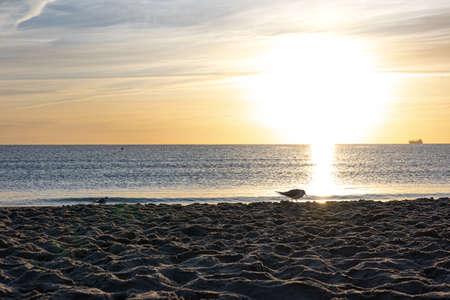 Sea embankment at sunset with a clear cloudless sky.の写真素材