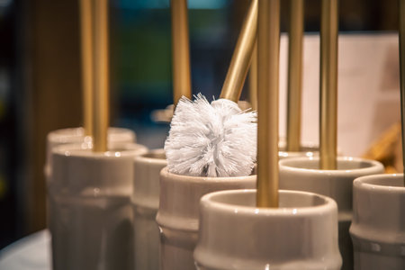 Close-up, toilet brushes in a home improvement store.