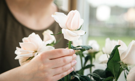Close-up, a bouquet of roses in the hands of a female florist.の写真素材