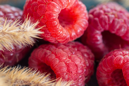 Ripe raspberries macro shot, selective focus, fruit background.の写真素材