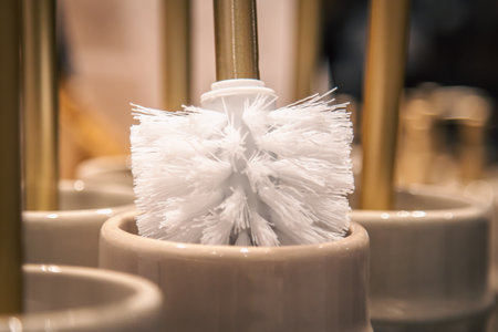 Close-up, toilet brushes in a home improvement store.の写真素材