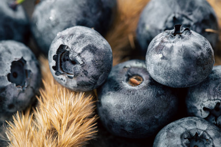Natural vintage background with blueberries, macro shot.の写真素材