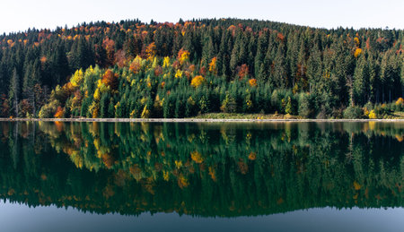 Autumn forest and lake in a mountainous area, natural background.