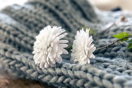 Small white flowers on a knitted element close-up.