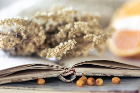 Cozy background with open book on blurred background.の写真素材