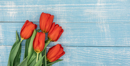 Bouquet of red tulips on a bllue wooden background, top view, copy space.の写真素材