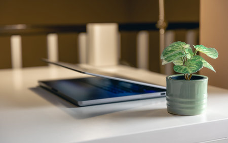 Laptop on the desktop on a blurred background.
