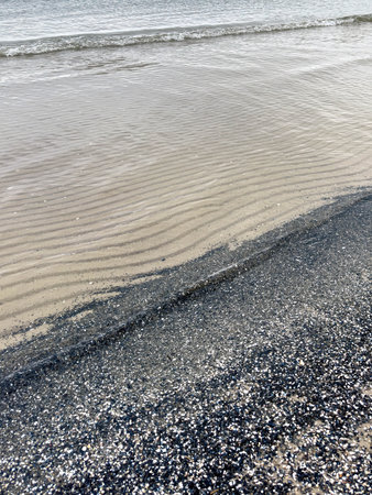 Textured sea sand at the bottom, seashore, natural background.の写真素材