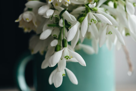 Bouquet of snowdrops on a blurred background.の写真素材