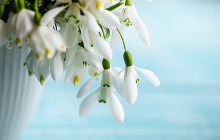 Bouquet of snowdrops on a blurred background.の写真素材