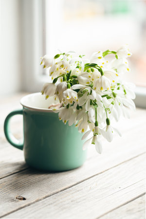 Bouquet of snowdrops on a blurred background.の写真素材