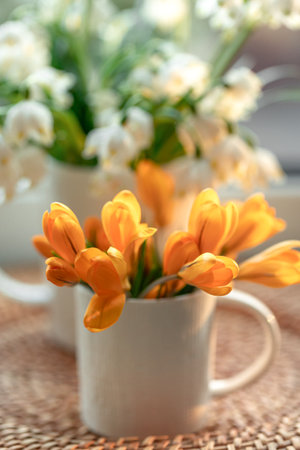 Spring composition with snowdrops and crocuses, close up.の写真素材