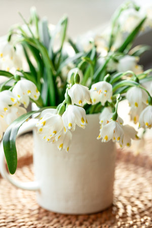 Spring composition with snowdrops in a cup, close-up.の写真素材