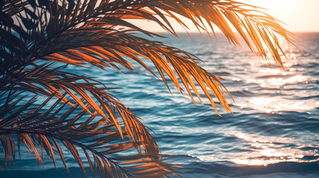 Palm branches on a blurred background of the sea at sunset.の素材