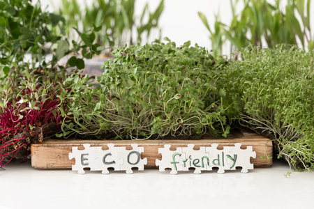 Radish microgreens with seeds and roots. Germination of seeds at home.