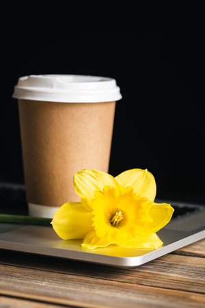 Paper cup and yellow flower on laptop, work concept.の写真素材