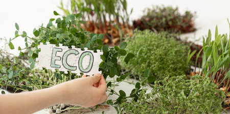 Puzzle with the inscription Eco in hands on the background of microgreens.