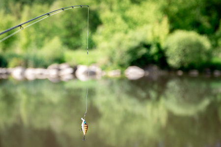 Fishing rod on a blurred background of the lake.