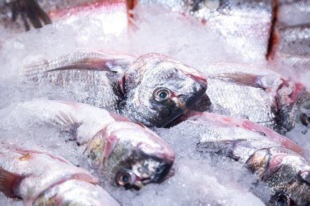 Showcase with chilled fish in grocery store, close up.の写真素材