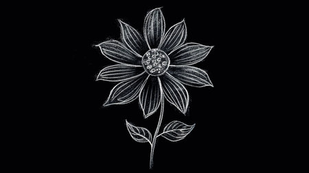 Black background with painted with chalk a flower, drawn on the blackboard.の素材