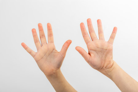 Two hands of a child on a white background isolated.の写真素材