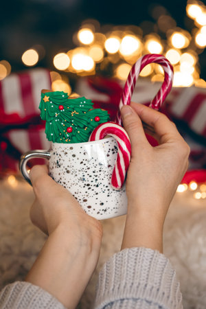 A cup with gingerbread and candies in female hands on a blurred background.の写真素材