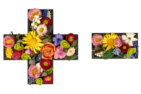Plus and minus signs made of real natural flowers on transparent background.の写真素材