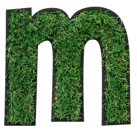 Letter M made of green grass isolated on white.の写真素材
