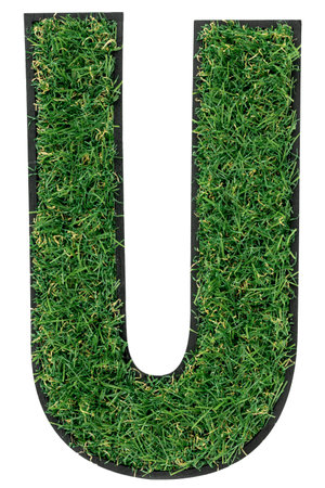 Letter U made of green grass isolated on white.の写真素材
