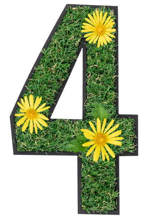 Number 4 made of flowers and grass isolated on white.の写真素材