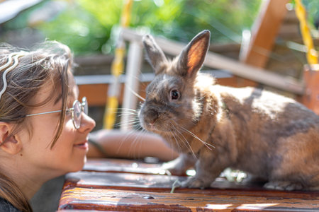 A girl plays with a domestic rabbit on the street. Pet concept.の写真素材