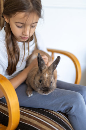 A pretty little girl is playing with a pet rabbit. Pets concept.の写真素材