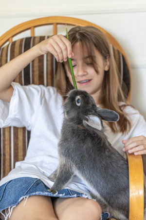 A girl with a rabbit. Gray rabbit in hands. Rabbit close-up.の写真素材