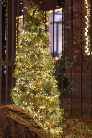 Christmas tree decorated with garlands in the backyard of the house.の写真素材
