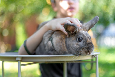 A girl plays with a domestic rabbit on the street. Pet concept.の写真素材