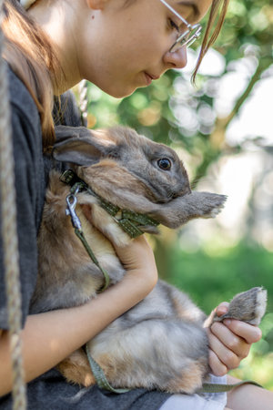 A girl plays with a domestic rabbit on the street. Pet concept.の写真素材