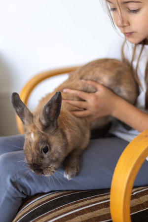 A pretty little girl is playing with a pet rabbit. Pets concept.の写真素材