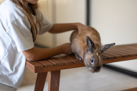 A pretty little girl is playing with a pet rabbit. Pets concept.の写真素材