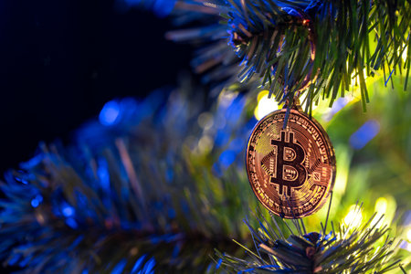Bitcoin coin on christmas tree with bokeh lights. Finance concept.の写真素材